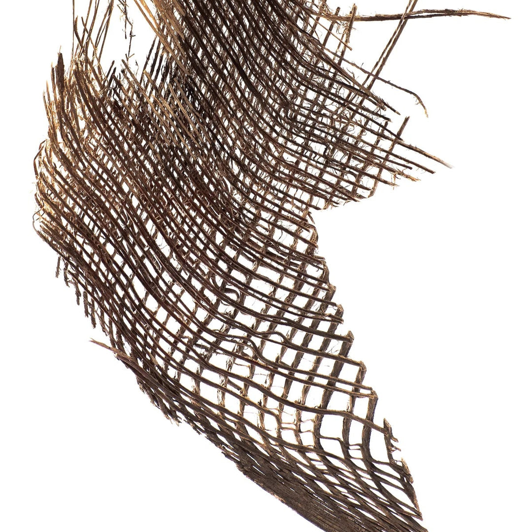 Patina Palm Small Wing Earrings