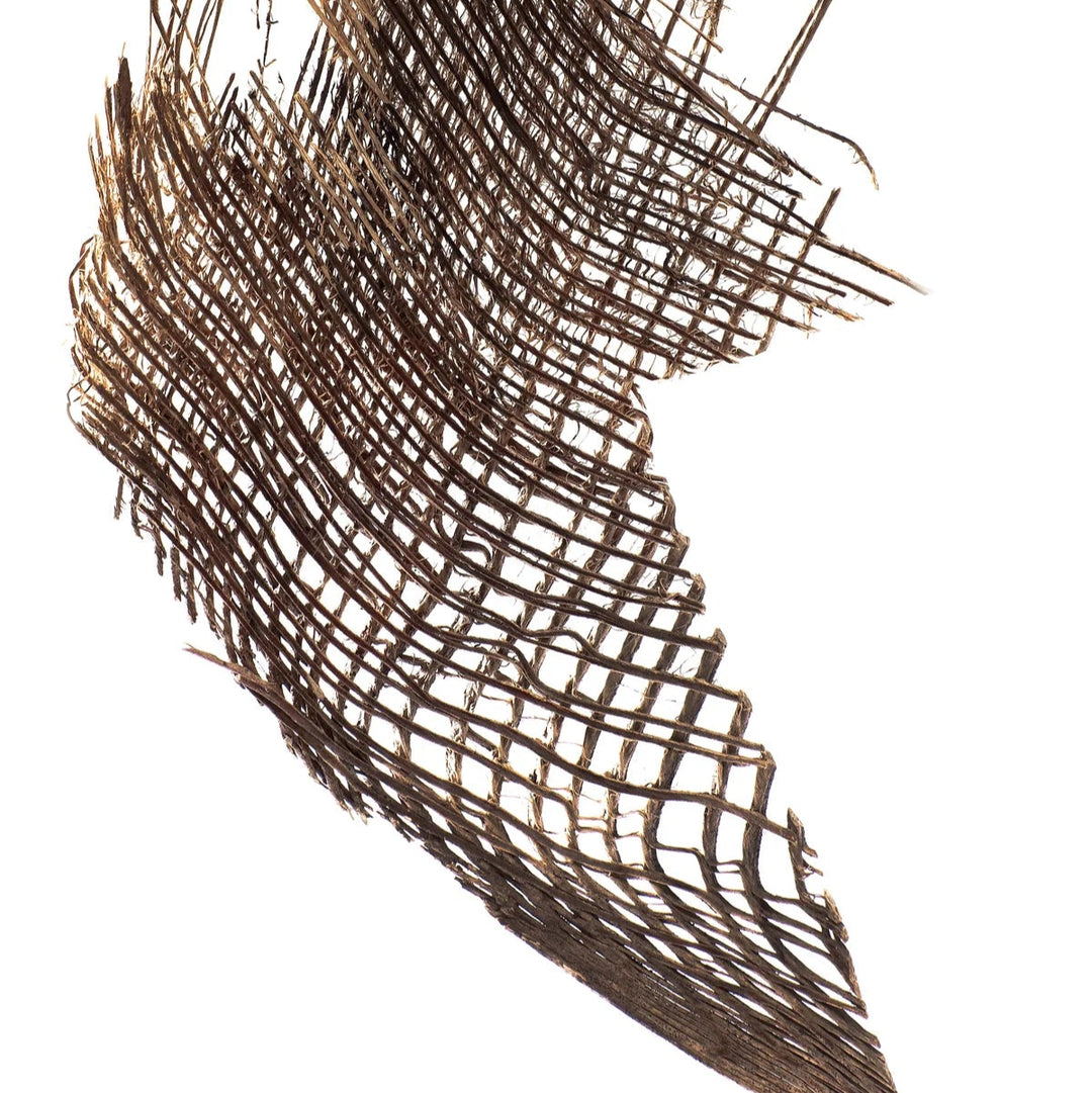 Patina Palm Large Wing Earrings
