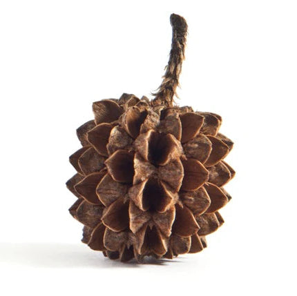 Patina Pinecone Sun Stud Earring