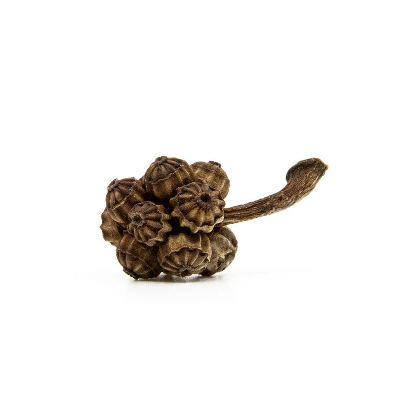 Patina Umbrella Pod Flower Studs