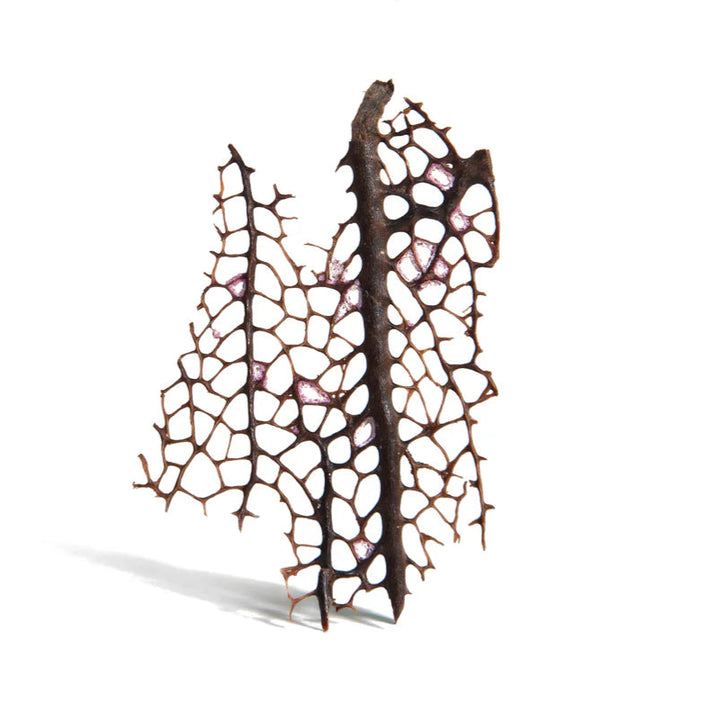 Patina Sea Fan Pendant